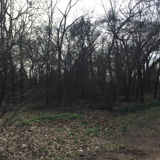 042B4AC6 CB54 4E07 A758 ABC6027746D8 555x555 1