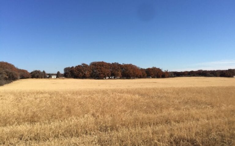 0AA5BD0D 459E 4CA4 B8E2 35189D89B848 850x530 1 768x479