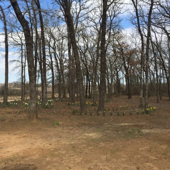 1F0CE93A B907 480C 9DA2 2B22B6054479 555x555 1