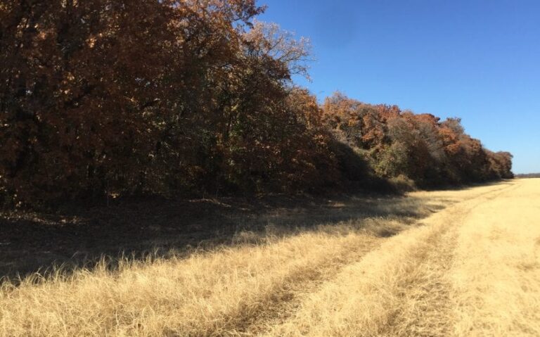 308ED1D7 995D 4531 921B 05EA95E63610 850x530 1 768x479