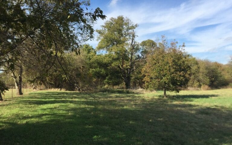 3287E7EA 6EA3 42A0 883C FF5534ED3170 850x530 1 768x479