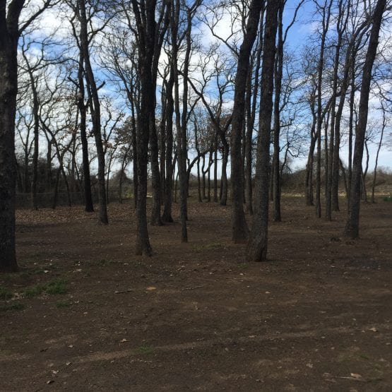 5F6EAD73 9FA2 424F B280 598A10EB5546 555x555 1