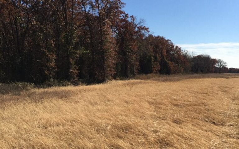 62081F35 69E2 4435 B33A 98F24BFA096D e1543541203102 850x530 1 768x479