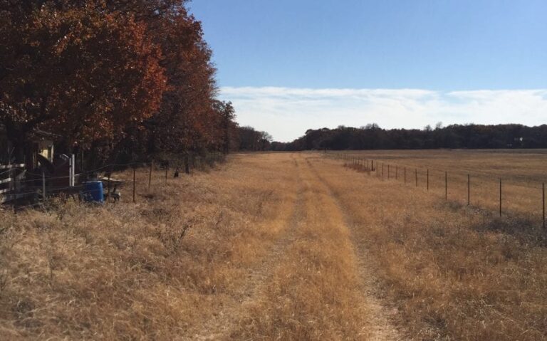 623D1309 EC83 40B6 B43E 1763F8EFFCEE e1543541136343 850x530 1 768x479