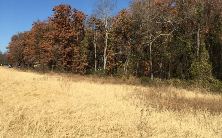 67D08145 C9EE 448B 9735 5B221D540625 e1543541189158 850x530 1 768x479