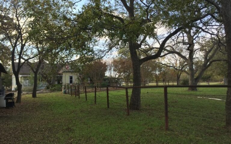 81F2ACB7 A735 494B B9D9 9240950F41E5 850x530 1 768x479