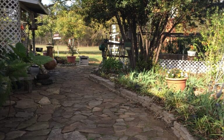 8C101D94 5A8A 4270 AD1F 7F4983678326 e1511019508867 850x530 1 768x479