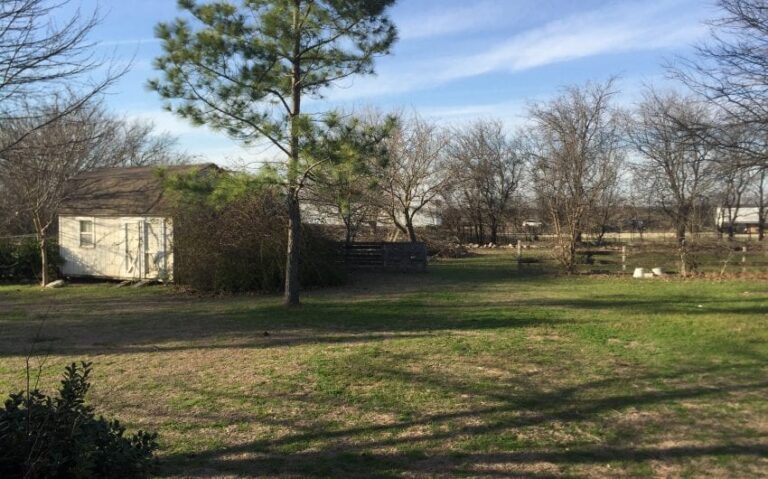 8E3E4CF2 3BAB 4E5E A3AA CA314519D8D5 850x530 1 768x479