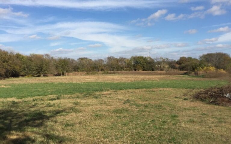 93AAA146 BE8C 4252 BEF8 1727BF71F21E 850x530 1 768x479