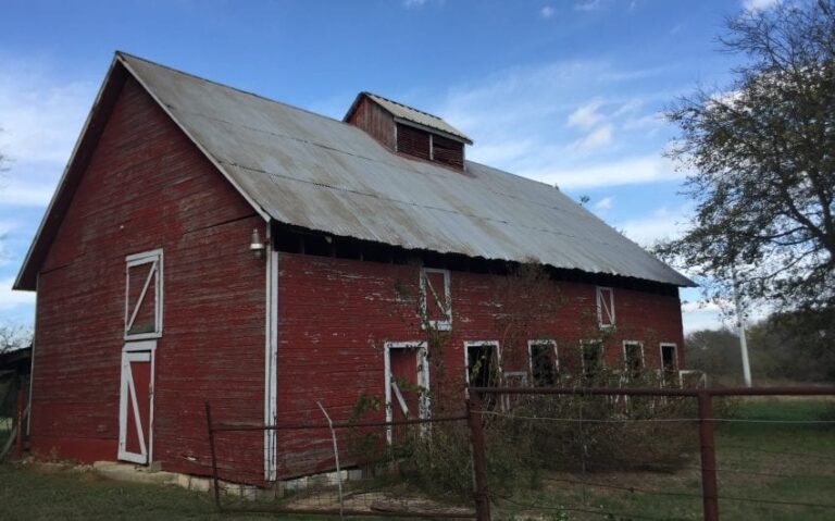 9446DF2B EEAD 4BC2 8D12 5E0E35BB428E 850x530 1 768x479