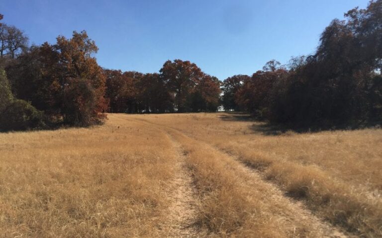 A1DE9888 724D 4513 9D6F 7451959A34F3 850x530 1 768x479