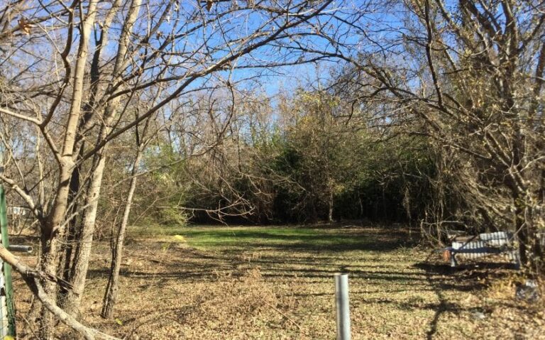 ACF613A8 03AA 4FD8 968E D243D2D6BC53 850x530 1 768x479