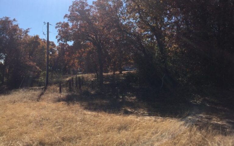 B3B9871C 2845 4978 81C5 9FD954CB0297 850x530 1 768x479