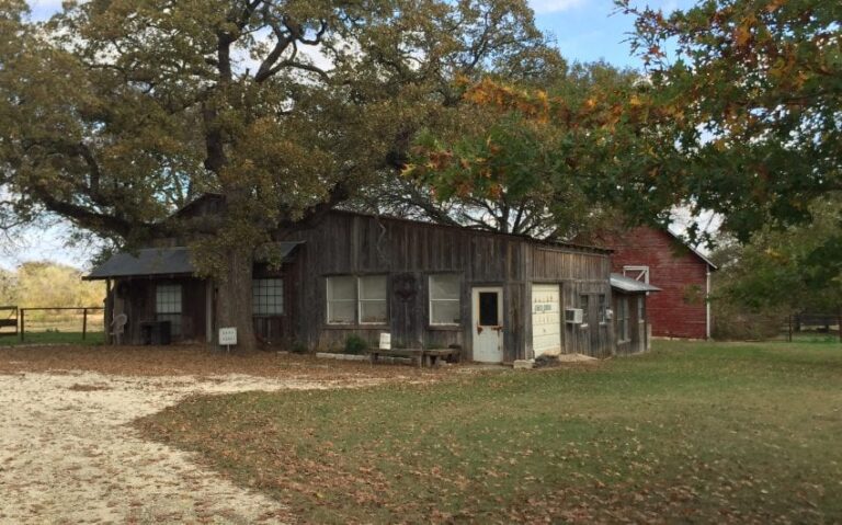 C6628139 7475 4879 A427 F531E6B7A538 850x530 1 768x479