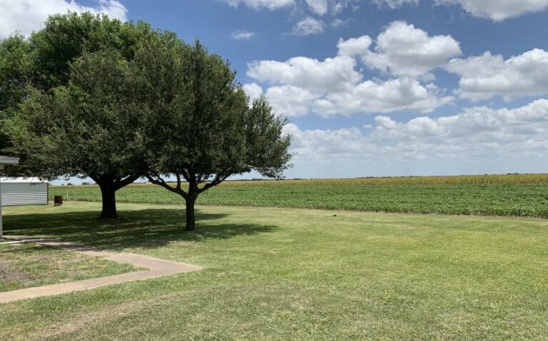 D8979F58 1E8F 48BD A5F3 B0D1FBBE4B94 850x530 1 768x479