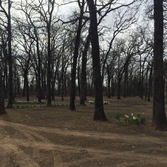 DBE003DA 488A 4368 8016 46D7C5CFE191 555x555 1