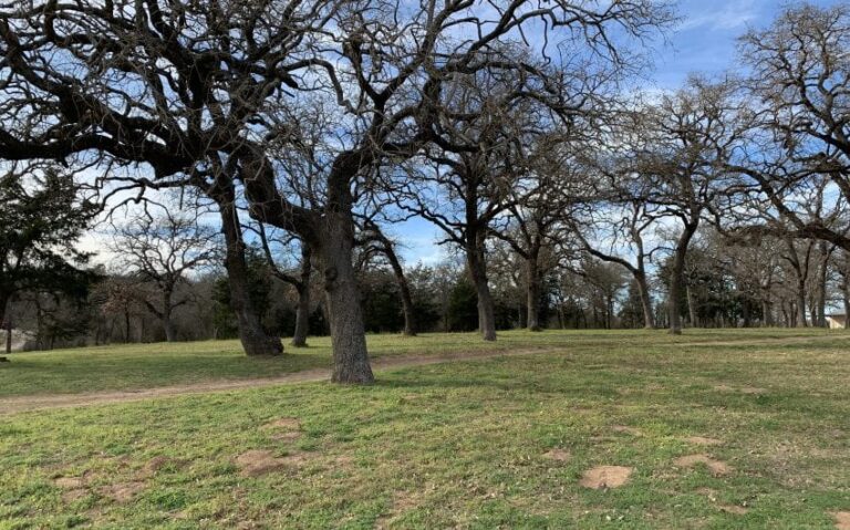 DE909175 3F87 4B9A 8E66 0E2561D2452C 850x530 1 768x479