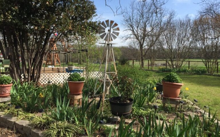 EB38CD5A C908 40A7 A39E 5A7561E1571E 850x530 1 768x479