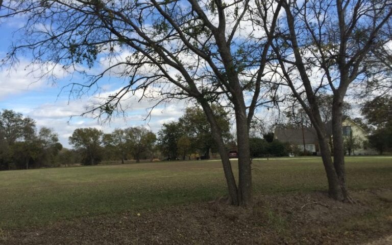 F74A13BD D5DD 429D B818 E2AA11B19370 850x530 1 768x479