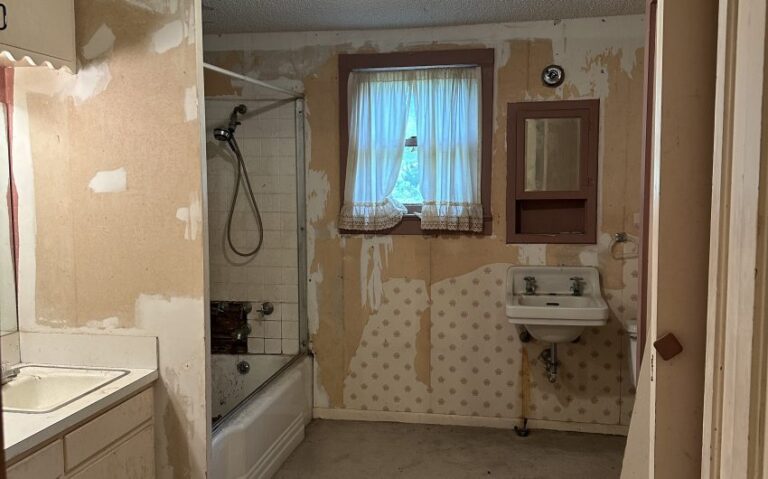 IMG 6725 850x530 1 768x479