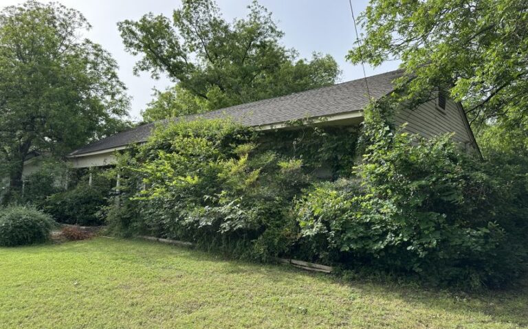 IMG 6737 850x530 1 768x479