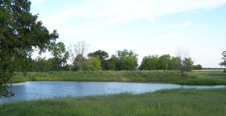 property 9 1 768x396